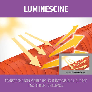 GOLDWELL-Dualsenses Blondes & Highlights Conditioner-300ml