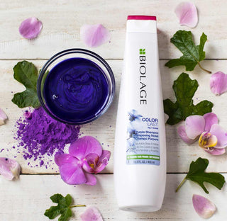 MATRIX-Biolage ColorLast Purple Shampoo-400ml